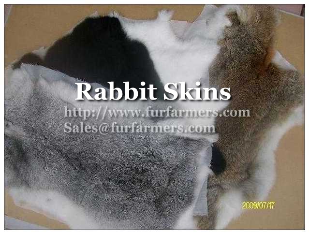 Fur Skins of Chinese Origin